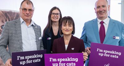 Cats Protection discusses 'exploitative' breeding at Parliament